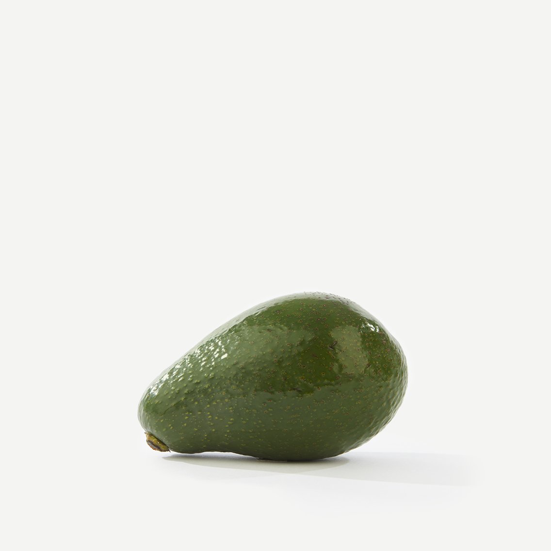 « Avocat »